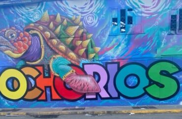Ocho Rios Scenic, Shopping and Lunch Tour