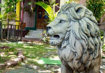 Bob Marley Museum Entry Ticket
