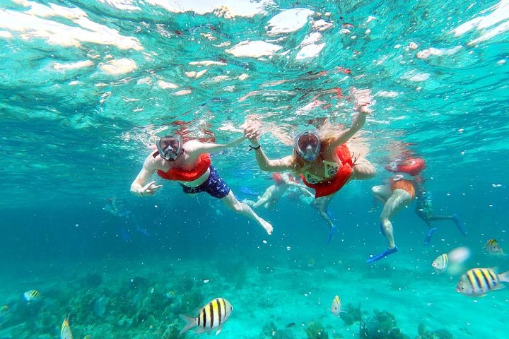Party Catamaran: OpenBar, Music, Negril Beach, Rick’s Cafe, Reef